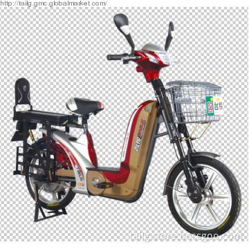 Electric Bike with Pedal